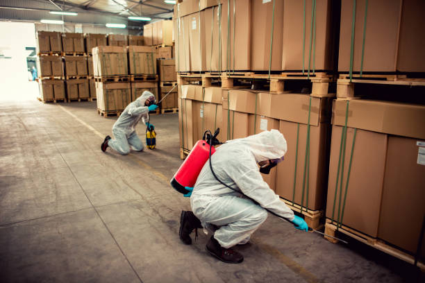 Best Pest Removal Services  in Oceanside, NY