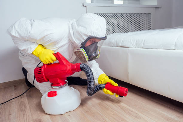 Oceanside, NY Pest Control Company