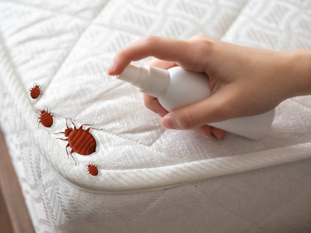 Pest Prevention Services in Oceanside, NY