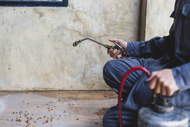 Best Local Pest Control Services  in Oceanside, NY